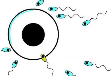 五大病因会让男性遭遇少精症