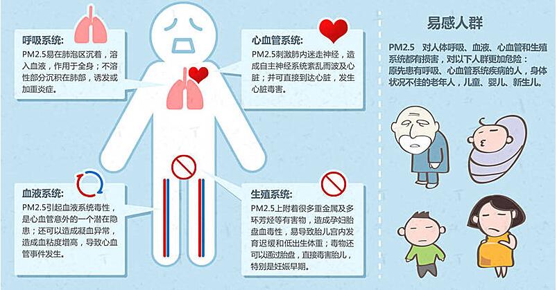 铜川新城提醒:雾霾天气吃什么食物好